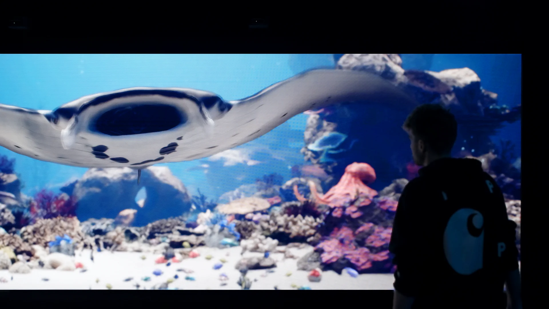 BBC BEE Screenshots 16x9 2